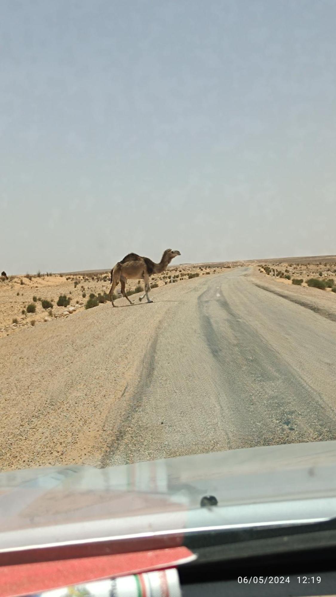Dar Lagune Djerba Vue De Mer Al Haddadah Exteriör bild