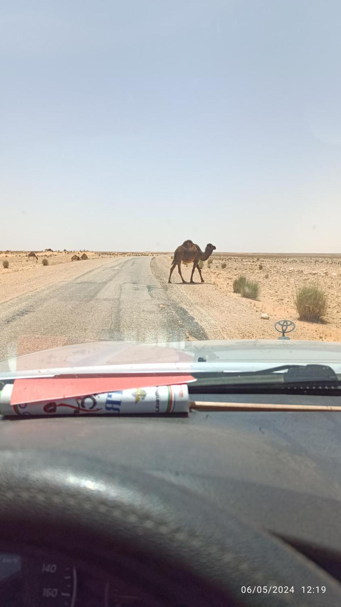Dar Lagune Djerba Vue De Mer Al Haddadah Exteriör bild