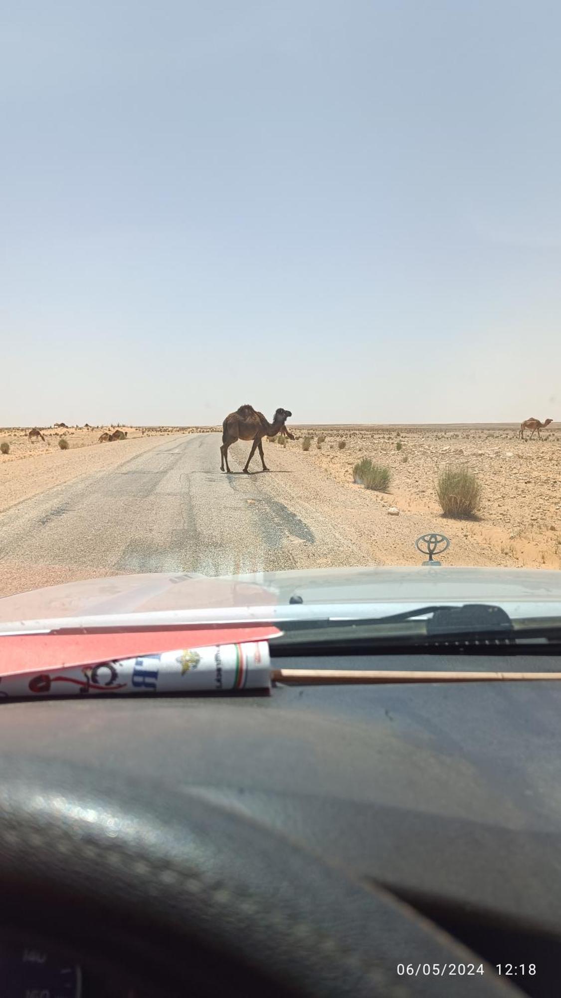 Dar Lagune Djerba Vue De Mer Al Haddadah Exteriör bild