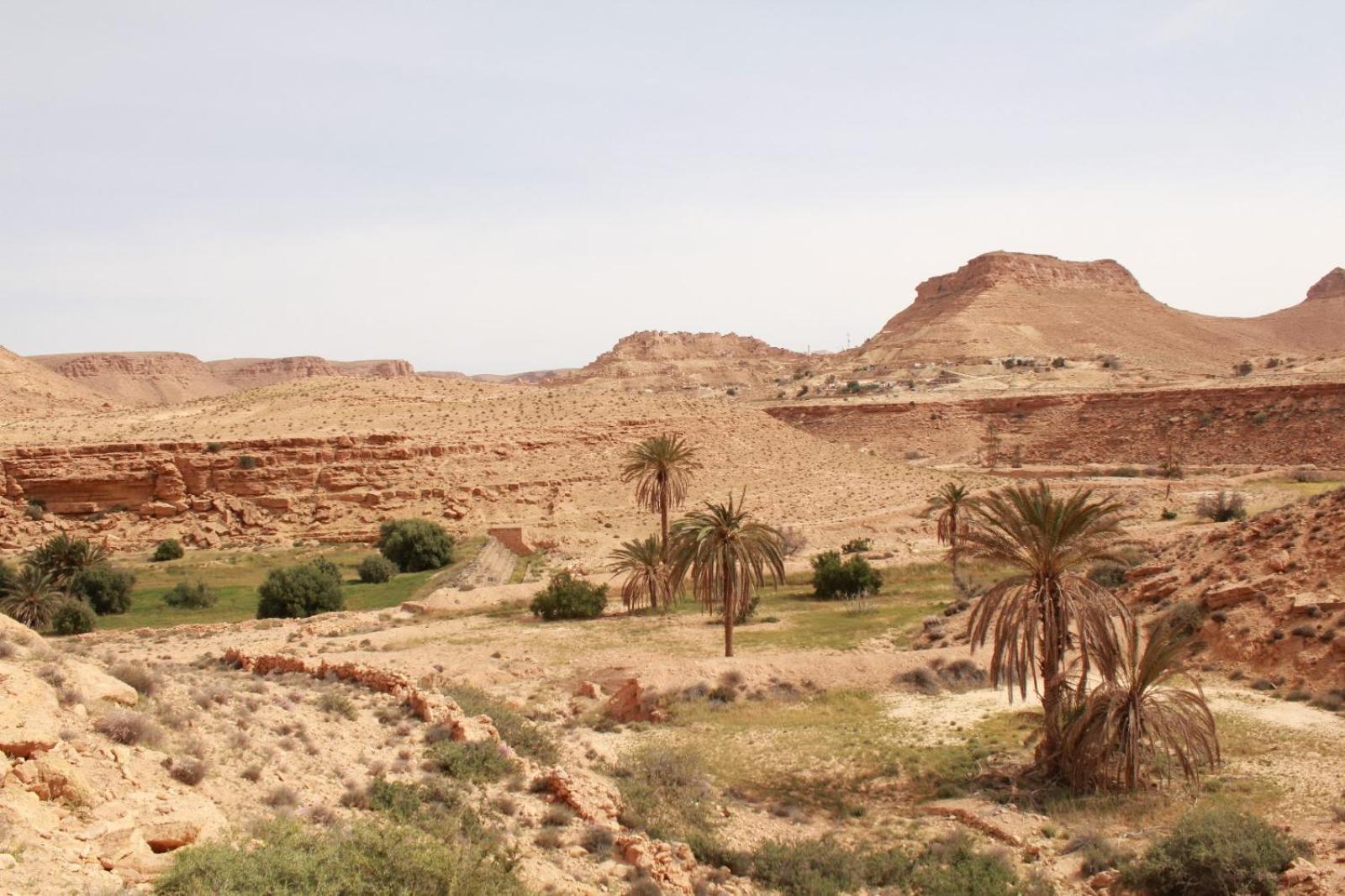 Dar Lagune Djerba Vue De Mer Al Haddadah Exteriör bild