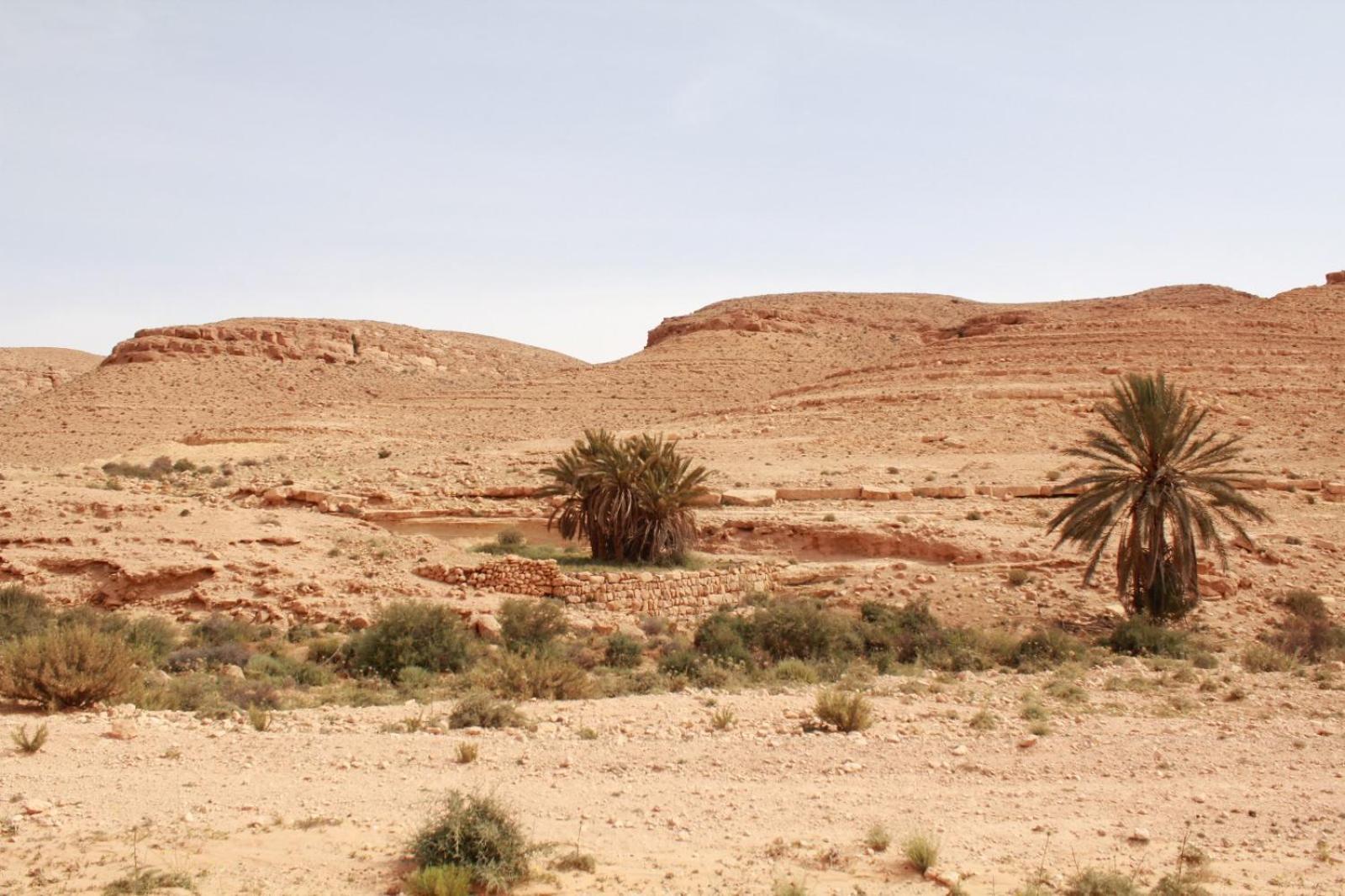 Dar Lagune Djerba Vue De Mer Al Haddadah Exteriör bild