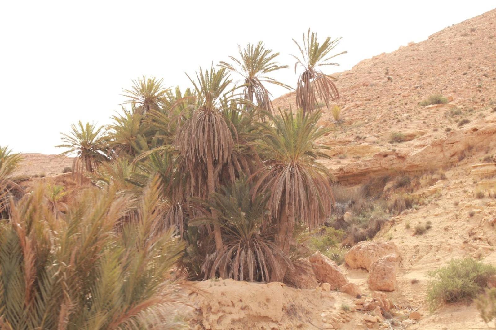 Dar Lagune Djerba Vue De Mer Al Haddadah Exteriör bild